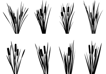Set Of Reeds Silhouettes - vector #398629 gratis