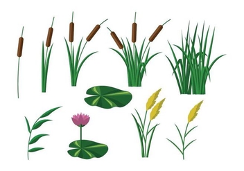 Free Reeds Vector - Free vector #404039