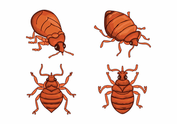 Bed bug cartoon character illustration vector - Free vector #412639