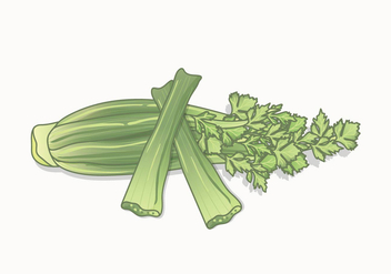 Celery Vector - Kostenloses vector #422669