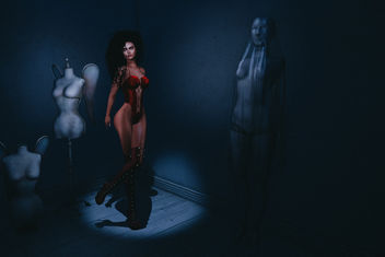 Bodysuit : Fran by La Perla - бесплатный image #424459