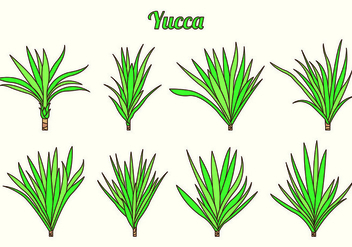Set Of Yucca Vectors - бесплатный vector #428429