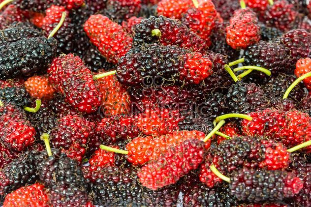 Black and red mulberry background - image gratuit #428789 