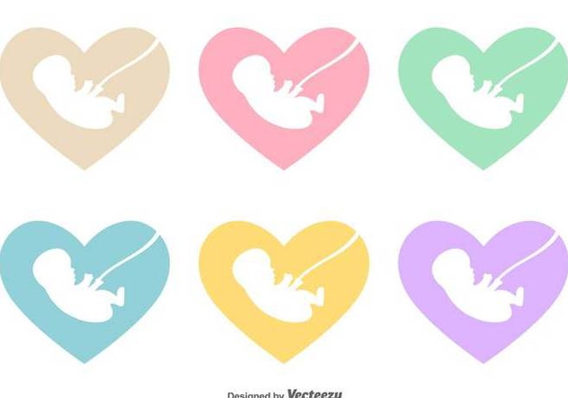 Vector Fetus Inside A Heart Icon - vector gratuit #429839 