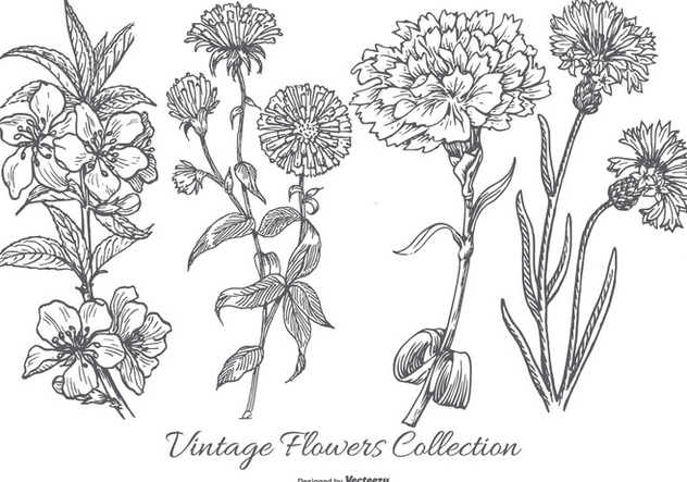 Vintage Flower Collection - vector gratuit #433059 