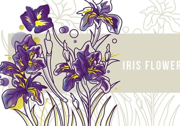 Iris Flower Banner Line Art - vector #434039 gratis