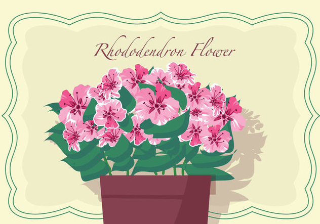 Rhododendron Flowers In Pot Vector Illustration - Free vector #437969