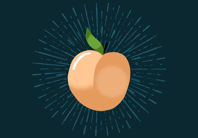 Radiant Peach - Free vector #438779
