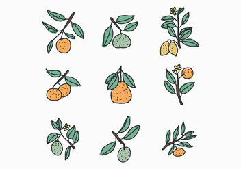 Citrus Doodles - vector gratuit #439349 