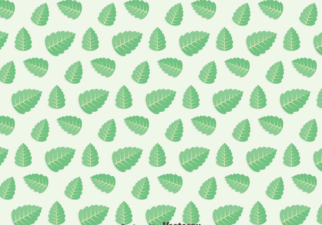 Green Leaf Stevia Pattern Vector - vector gratuit #439409 