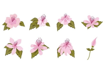 Free Flower Pink Rhododendron Vector - vector gratuit #442459 