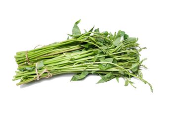 Fresh spinach isolated on white background - бесплатный image #452509