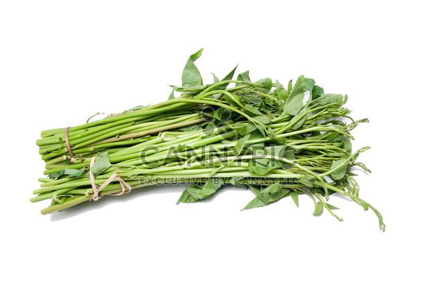 Fresh spinach isolated on white background - Kostenloses image #452509