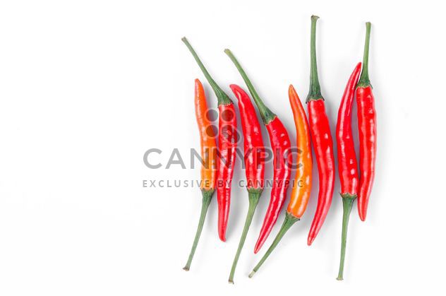 Red chili peppers on a white background - бесплатный image #452609