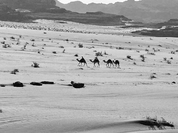 Wadi Rum - Free image #452949