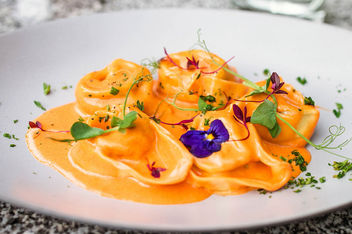 Tortellini with sauce and flowers. Close up.jpg - бесплатный image #454729