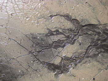Patterns in the wet sand - бесплатный image #455009