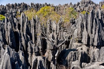 Tsingy of Bemaraha - image gratuit #460079 