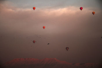 Hot Balloons - Luxor, Egypt - image gratuit #461079 