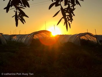 Licata sunrise, farms, Sicily - Free image #464909