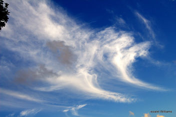 Cloudscape and Air Element - They are Here ...Breath IN the Chi IMG_2325 - Free image #465839