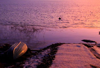 Purple sunset - image #466749 gratis