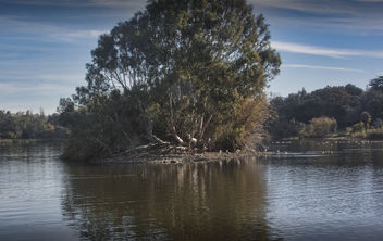 Tree island in the lake - image gratuit #467289 