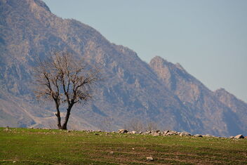 Kurdistan - Kostenloses image #468289