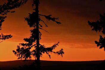 Sunset in Lapland - image #468849 gratis