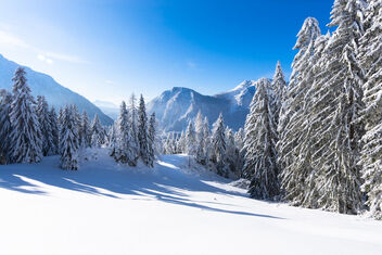 Winter Landscape Austria - image #469909 gratis
