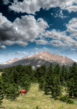 Longs Peak - бесплатный image #473899