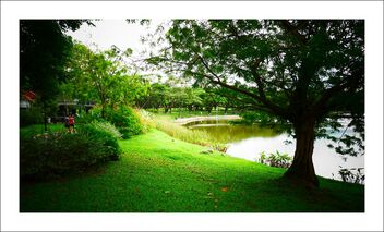 punggol park - greenery - image #474439 gratis