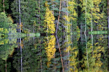 Autumn pond-reflection - image #474809 gratis