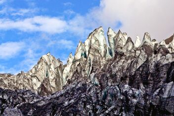 Fox Glacier NZ. - бесплатный image #475509