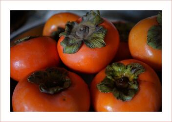 Persimmons - Free image #476179