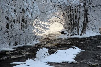 Frosty Rapids - Free image #477599