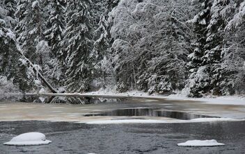 Winter River View - image #477889 gratis