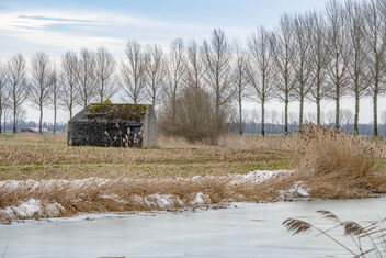 Wintertime, Biesbosch, Dordrecht - Free image #478389