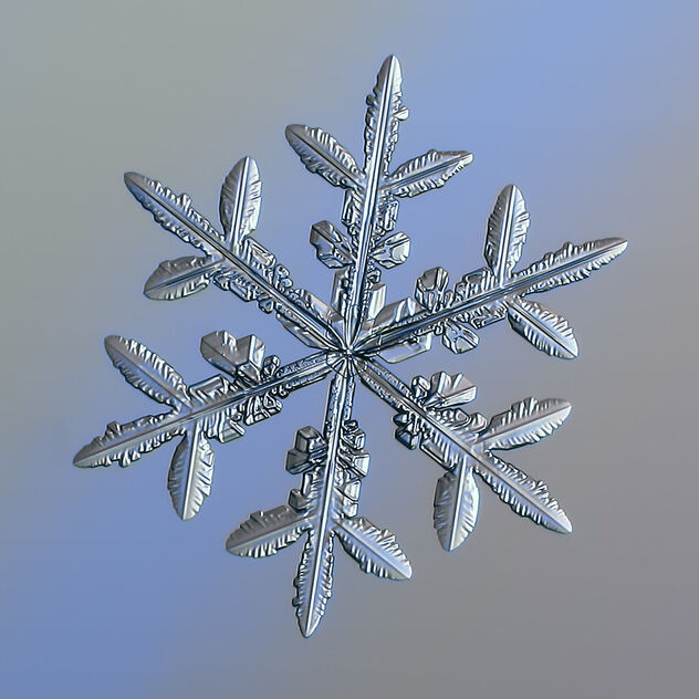 Snowflake - image #481149 gratis