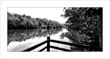 Sungei Buloh Wetland - бесплатный image #481209