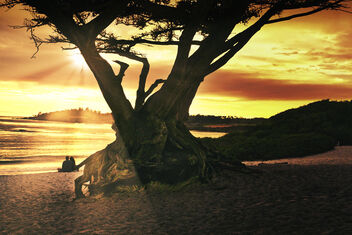 #Lovebirds on Carmel Beach, at sunset - image #483779 gratis