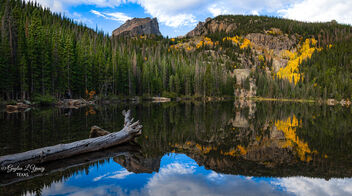 Bear Lake Reflections - image #484019 gratis