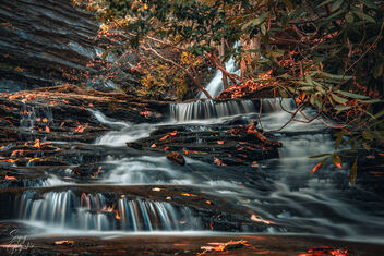Lower Cascade Falls, Hanging Rock Park, NC - Kostenloses image #484899