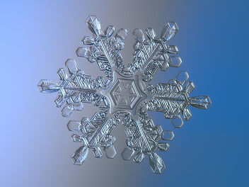 Snowflake - image gratuit #485009 