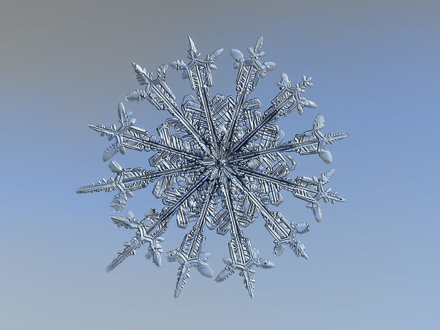 Snowflake - image #485529 gratis