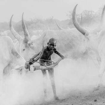 Cattle Camp, South Sudan - Free image #486009