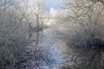 Wet zone winter walk - бесплатный image #487359