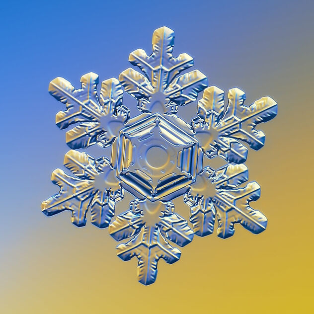 Snowflake - image #488809 gratis