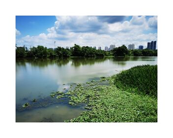 Jurong Lake - Kostenloses image #489099