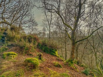 Hardcastle Crags - Free image #489939